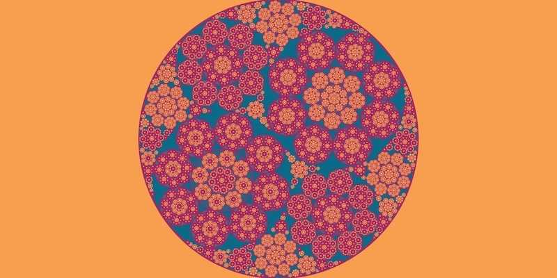 Apollonian gasket filled with recursive Steiner Chains